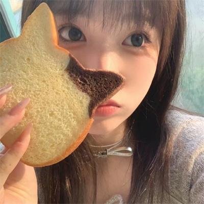 妖精森林的小不点